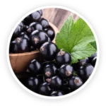 Blackcurrant