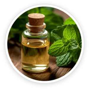 Peppermint Essential Oil