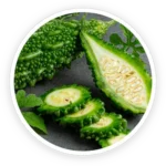 PurpleBurn Pro Bitter Melon