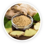 PurpleBurn Pro Ginger