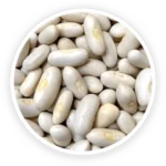 White Kidney Bean